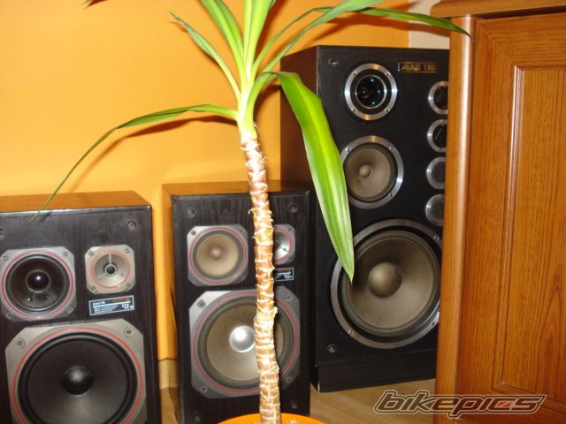 Photo 2645936