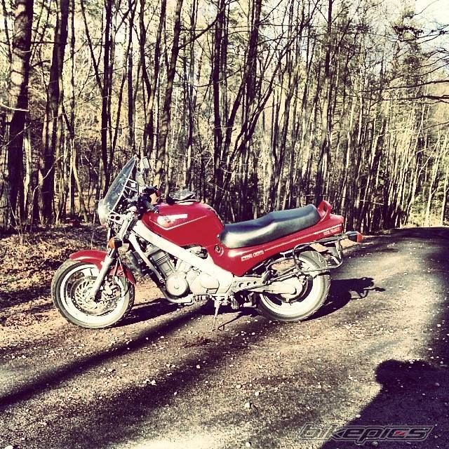 Photo 2645960