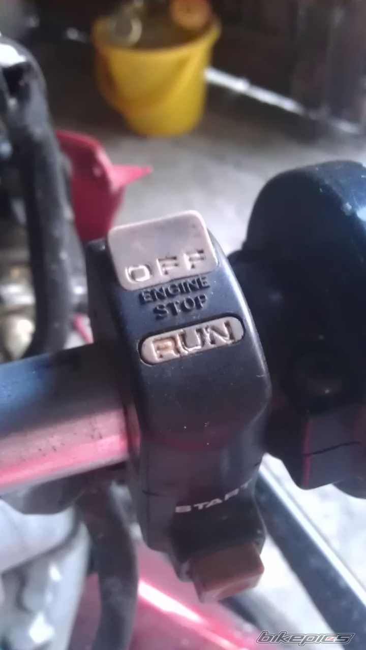Photo 2646009