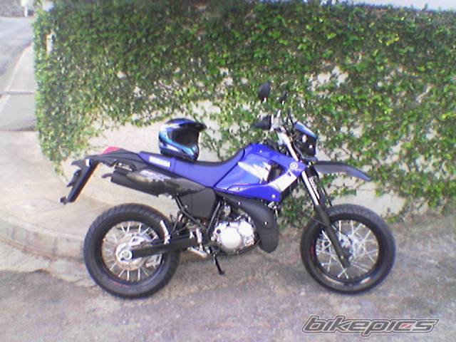 Photo 264603