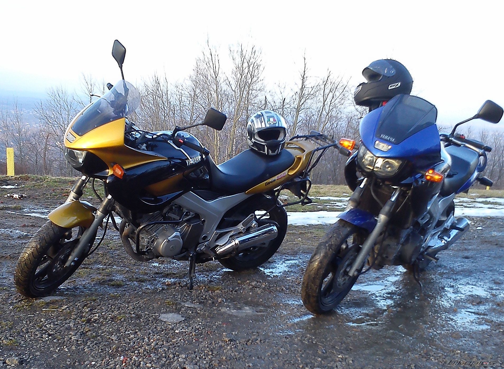 Photo 2646036