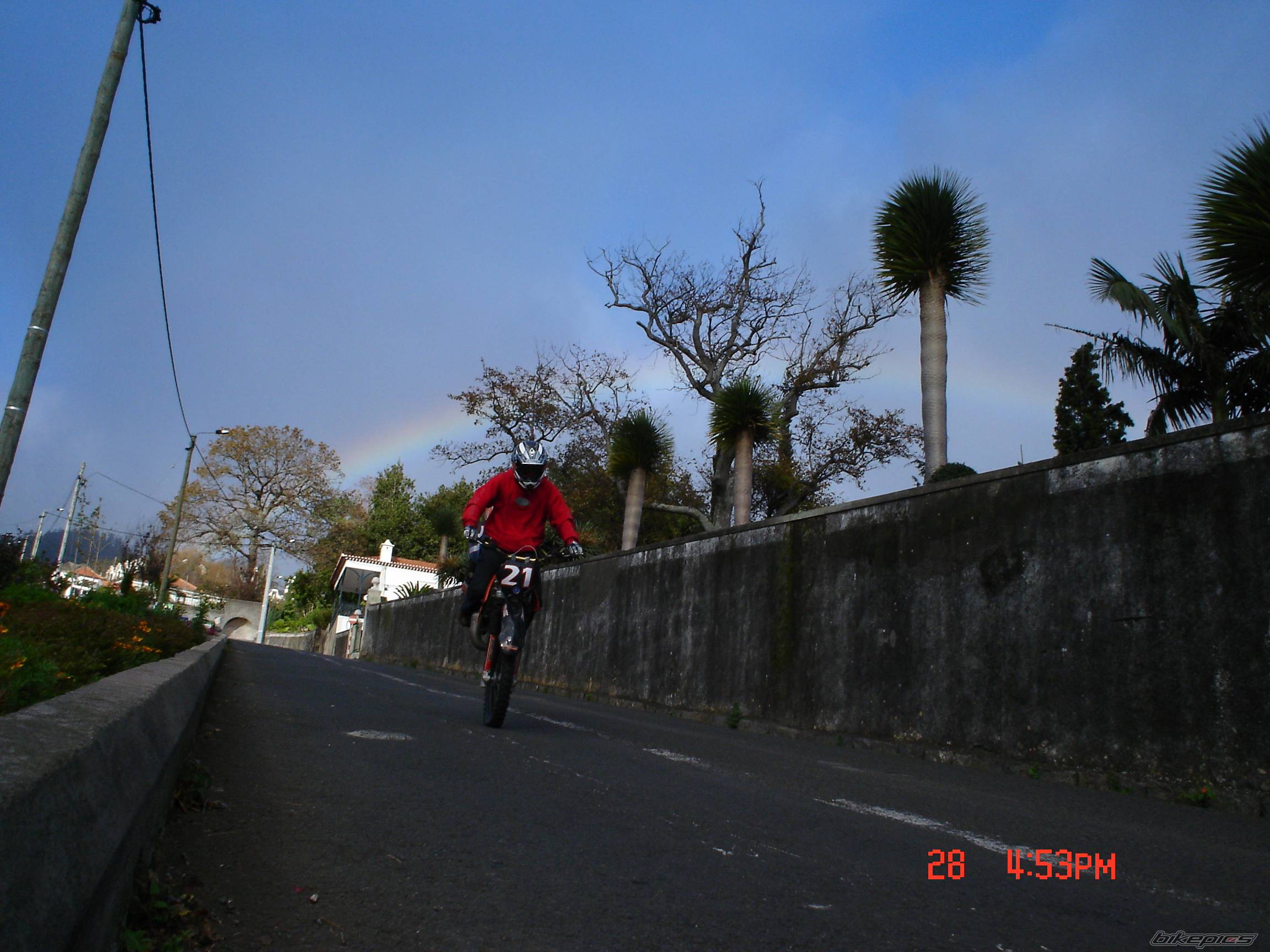 Photo 264611