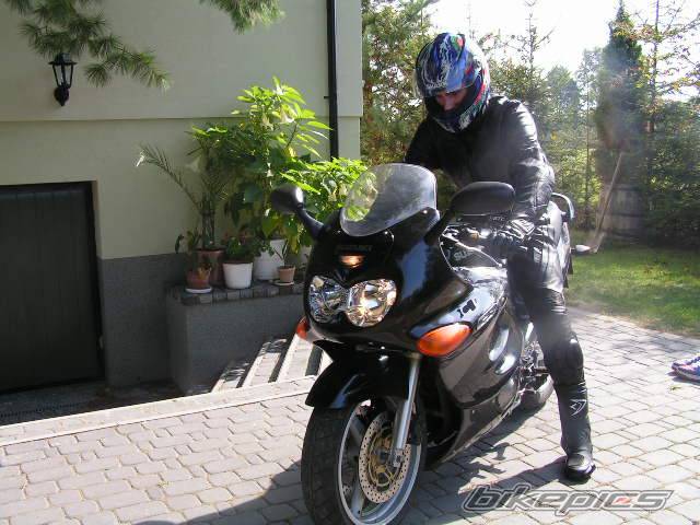 Photo 264613