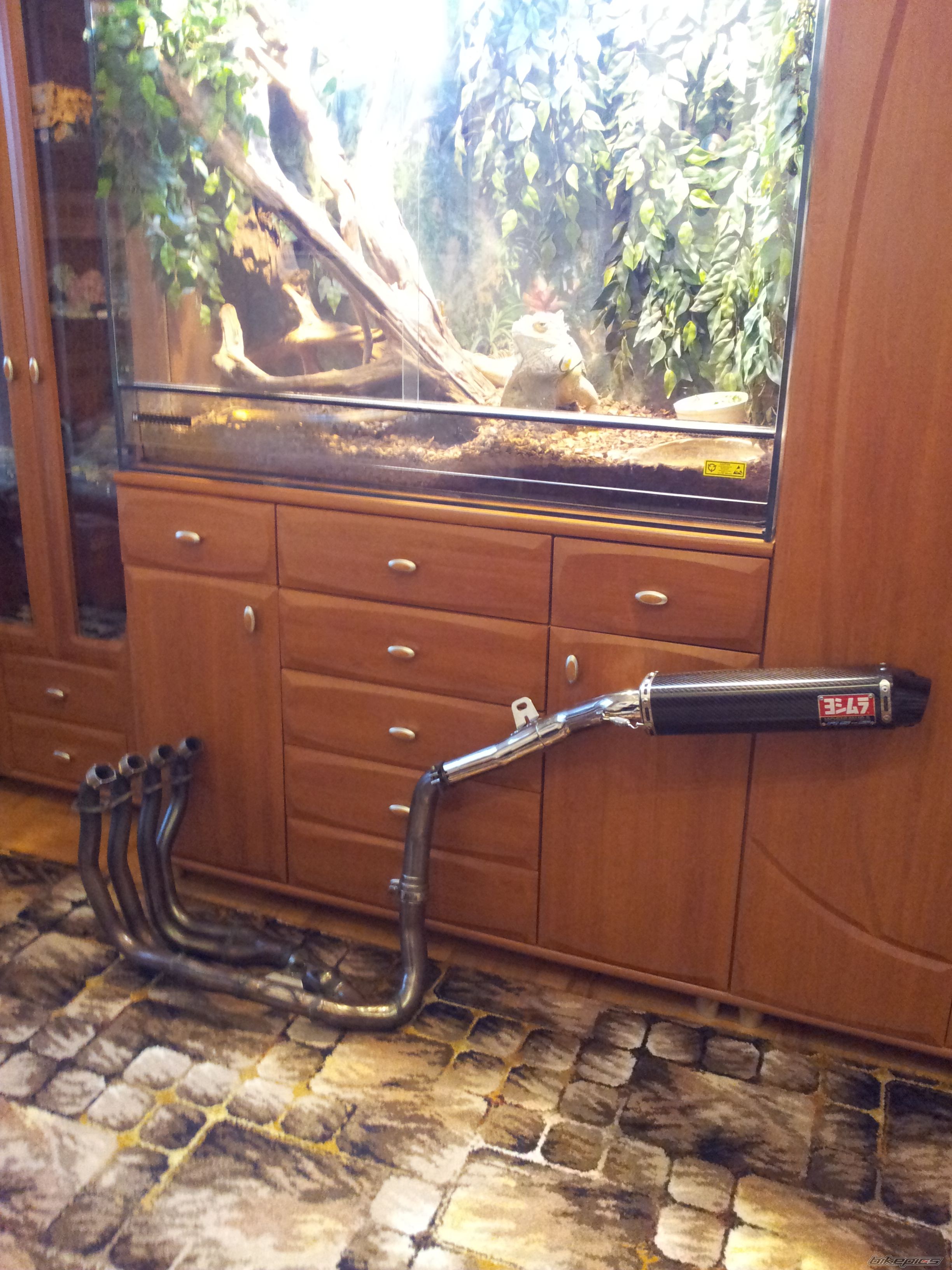 Photo 2646132