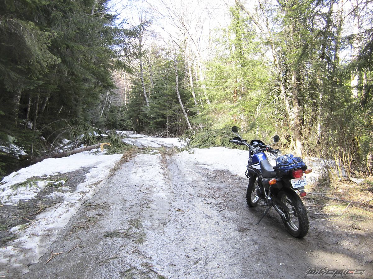 Bike Photo 2646494