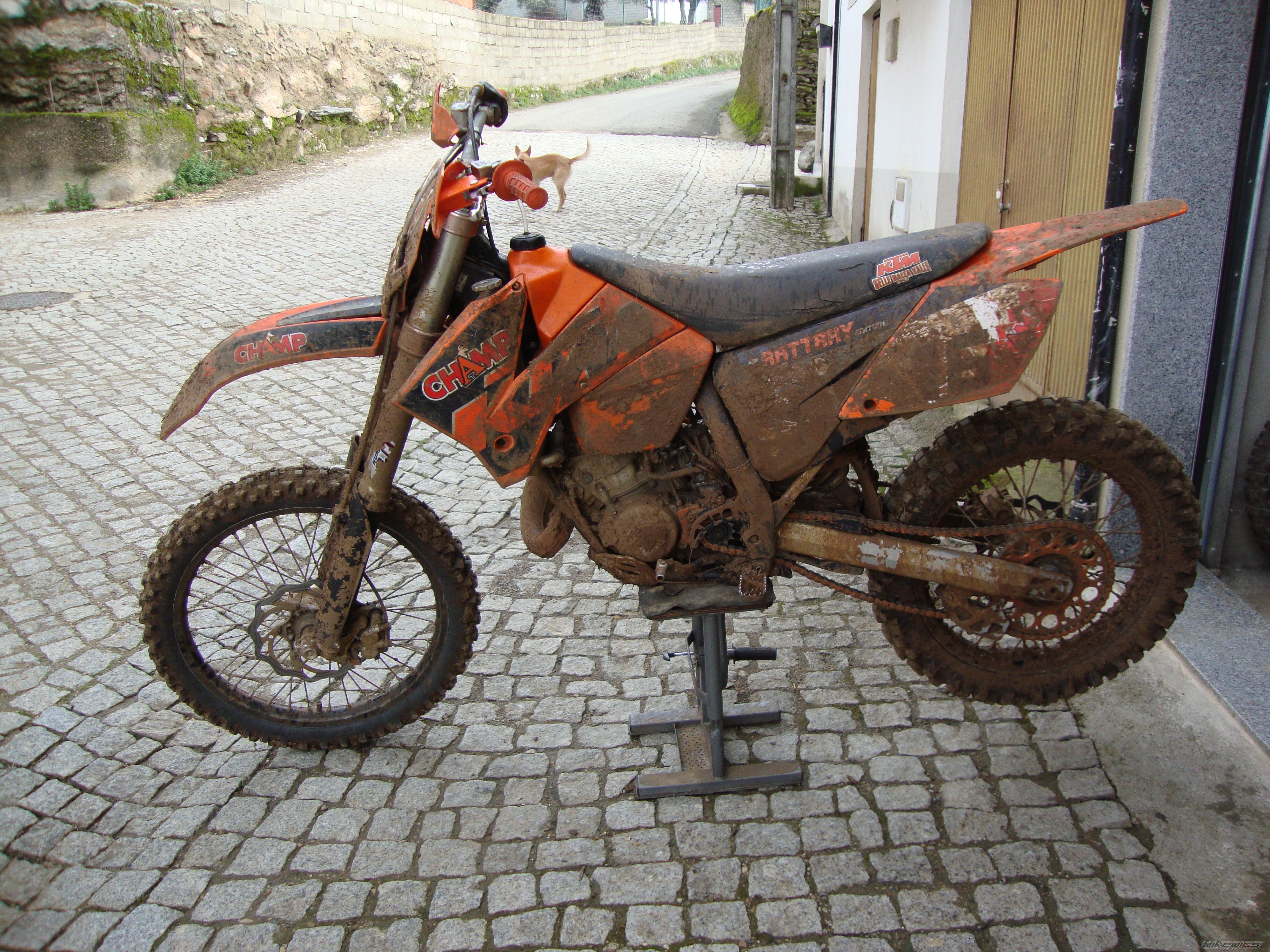 Photo 2646561