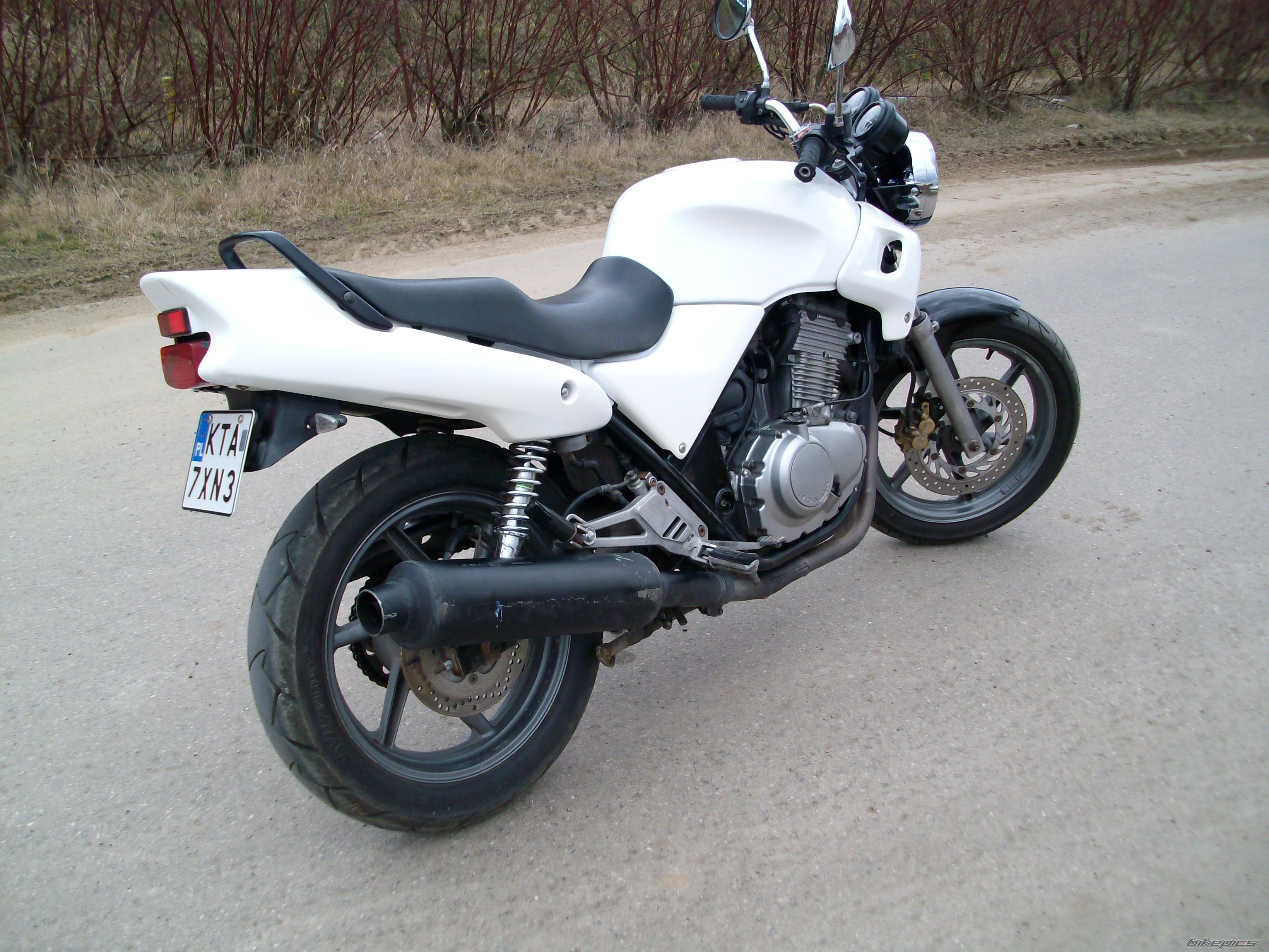 Photo 2646584