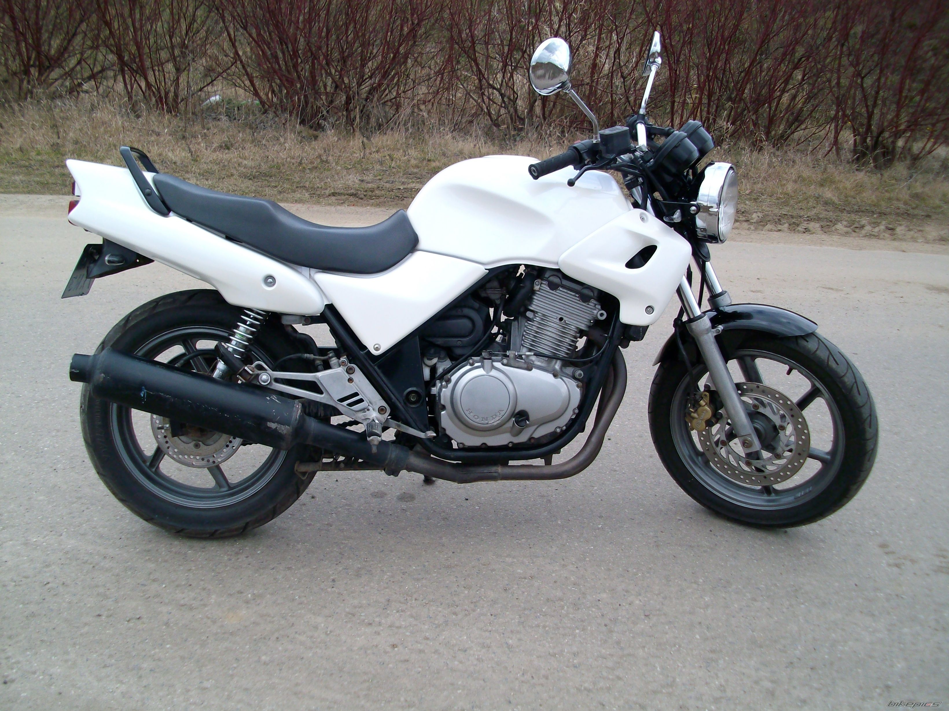 Photo 2646592