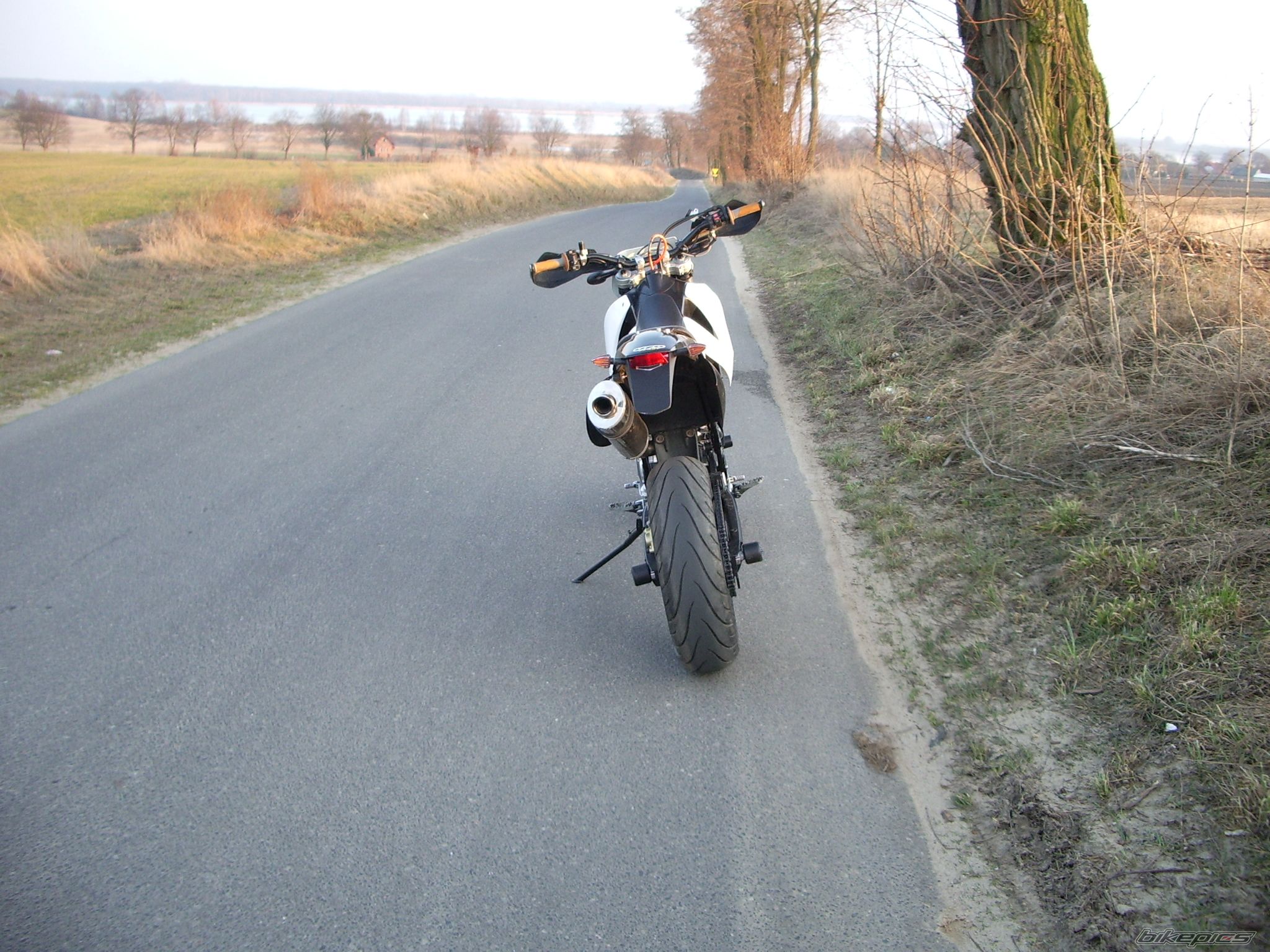 Photo 2646623