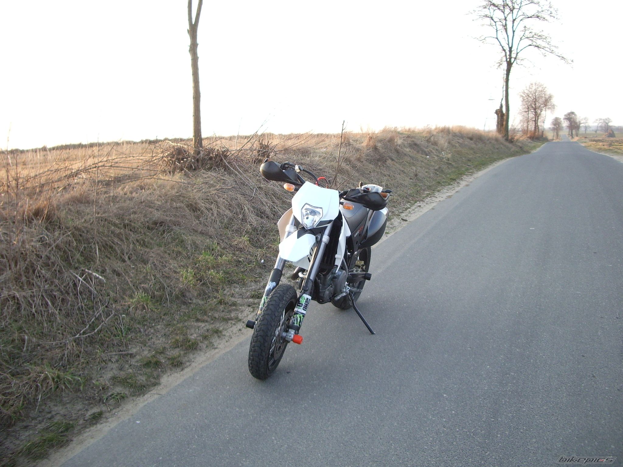 Photo 2646624