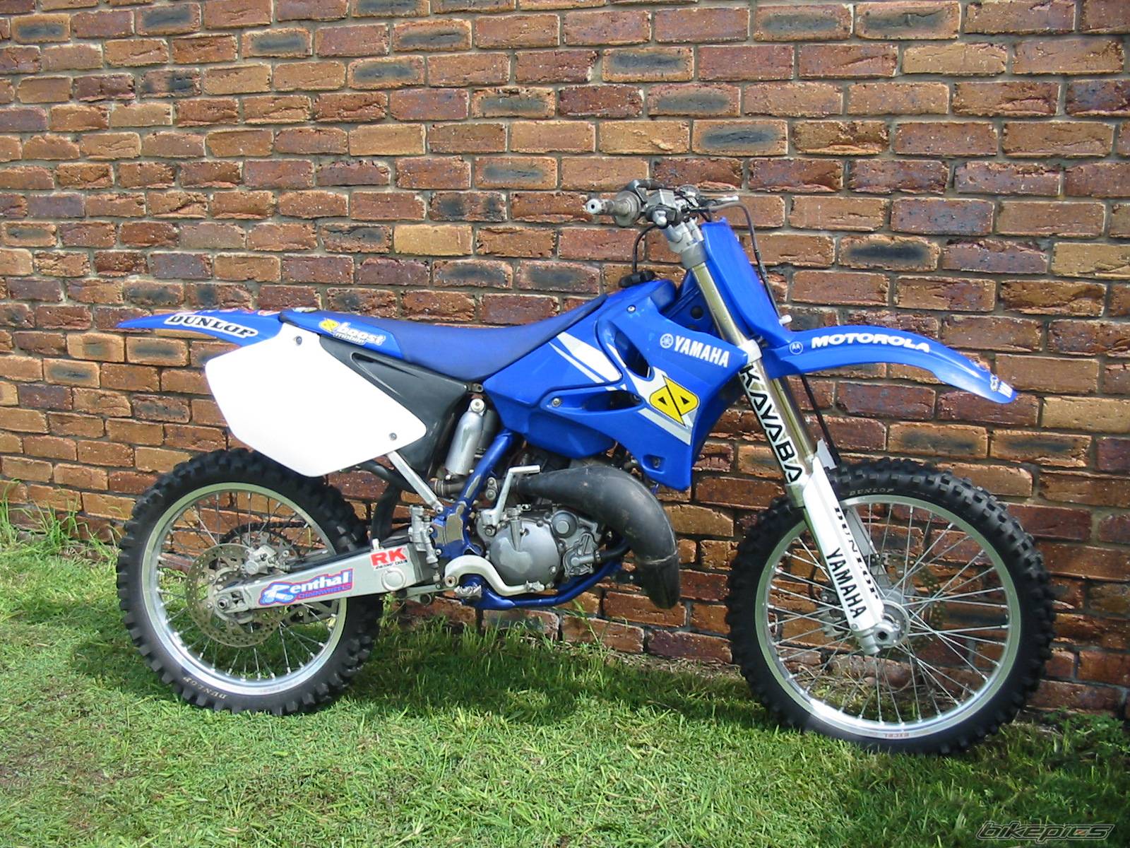 Photo 264663
