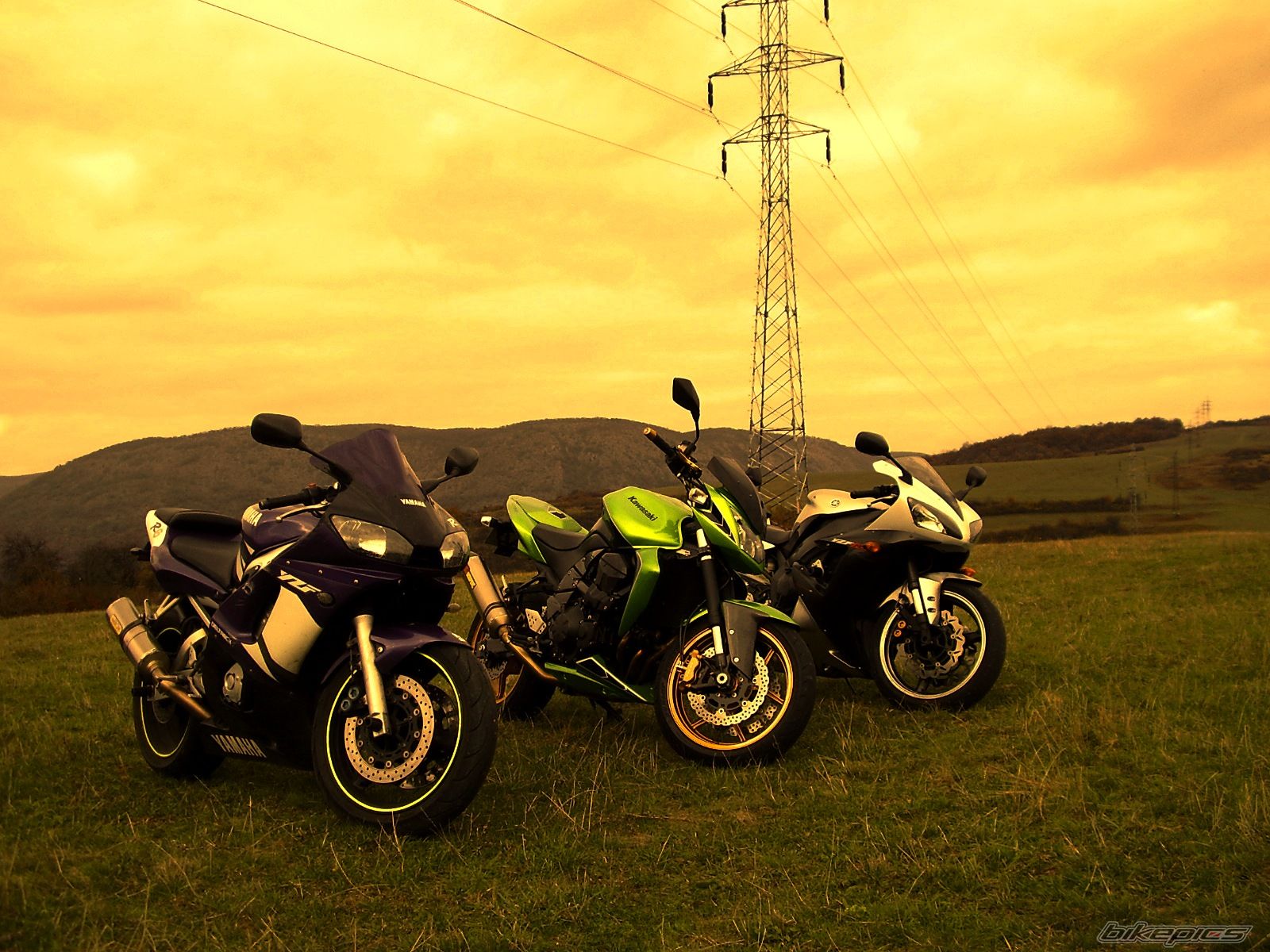 Photo 2646654