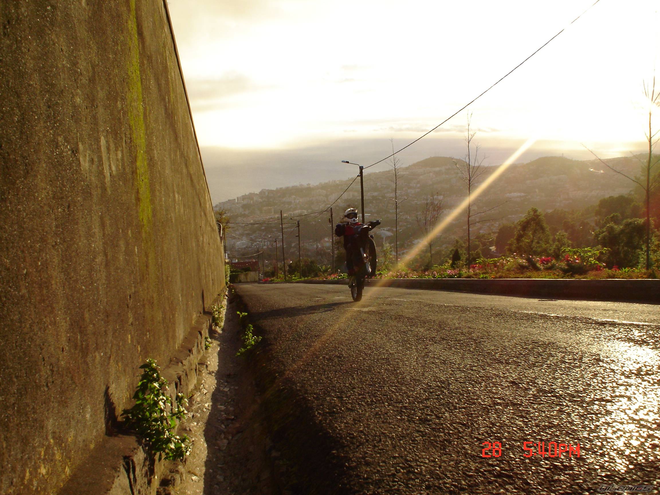 Photo 264669