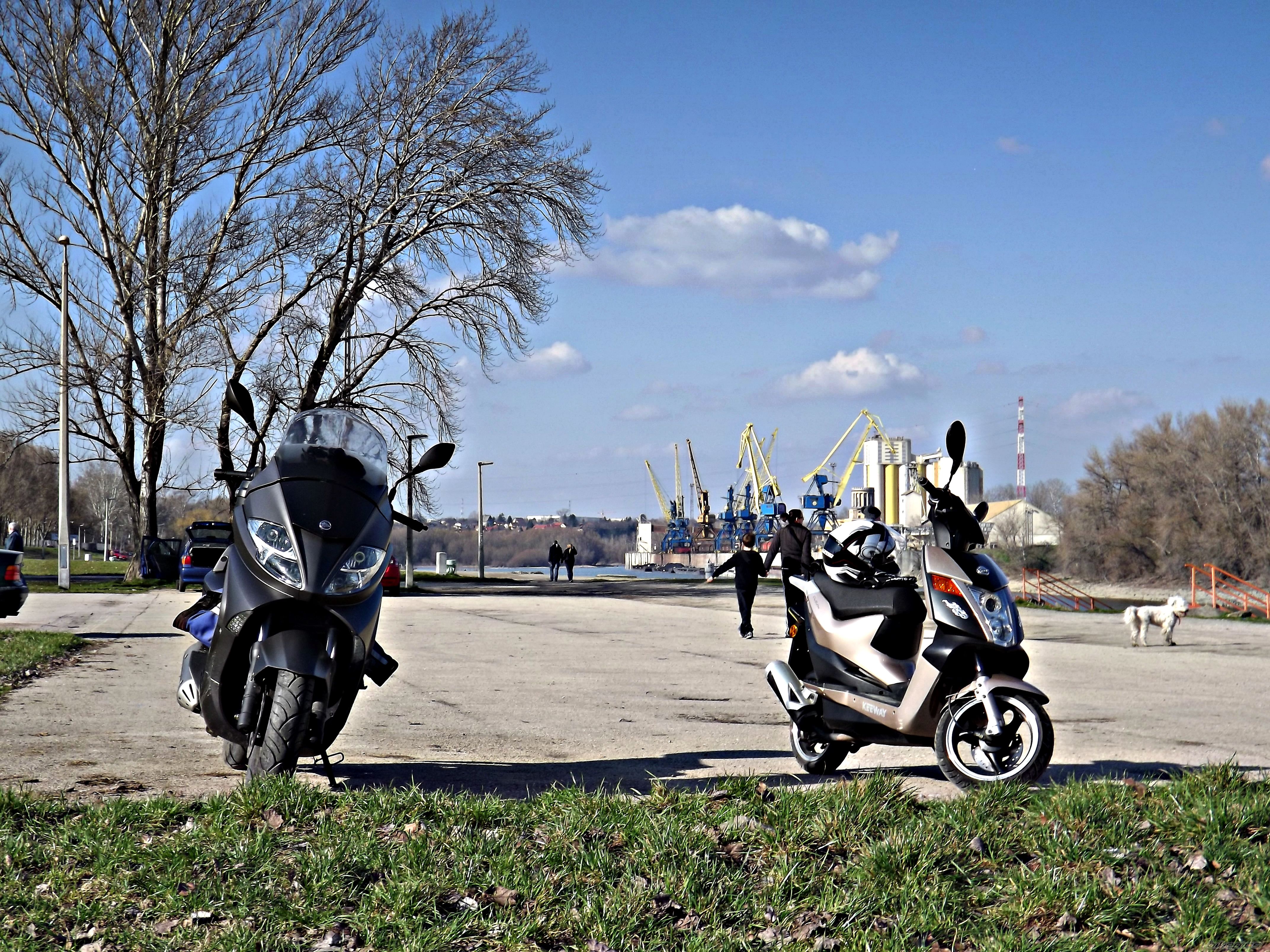 Photo 2646690