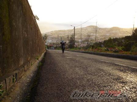 Photo 264670