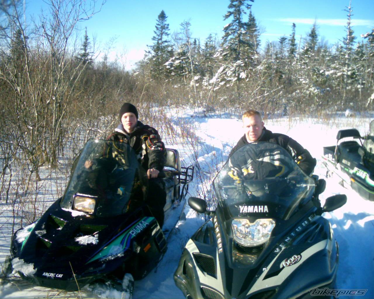 Photo 264674