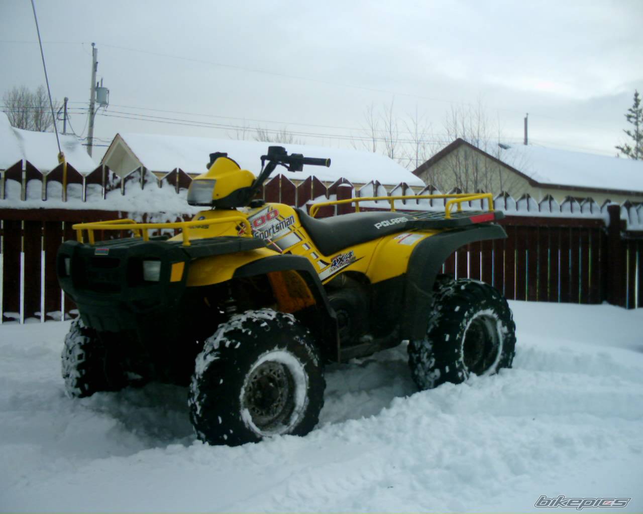 Photo 264681