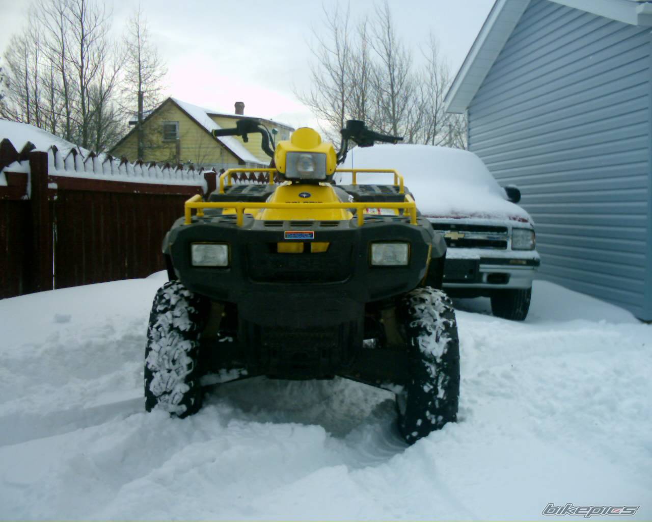 Photo 264682