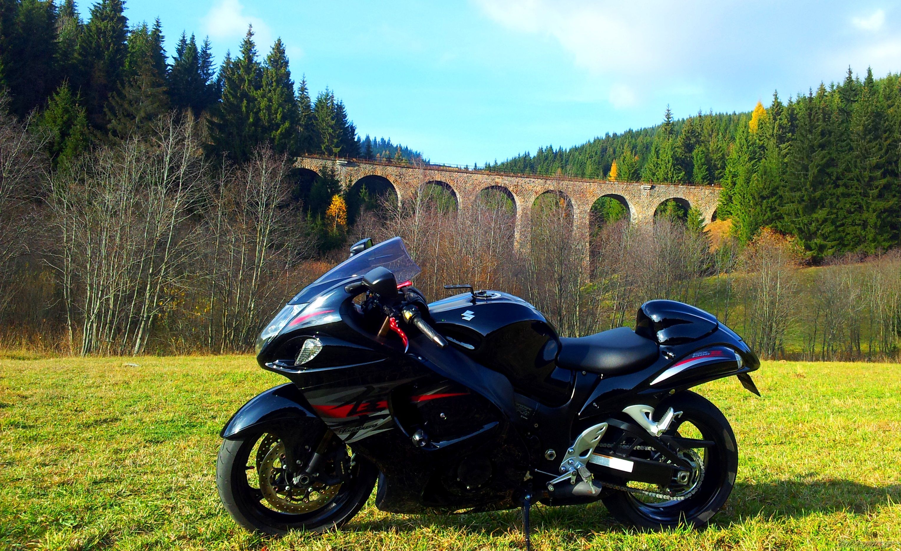 Photo 2646902