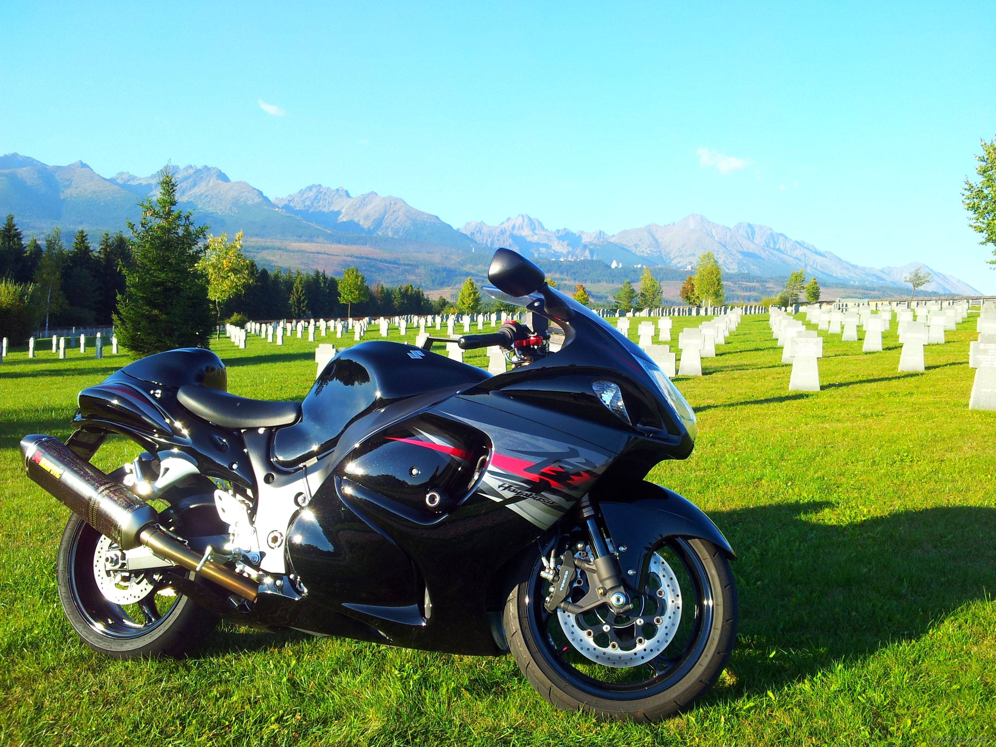 Photo 2646904