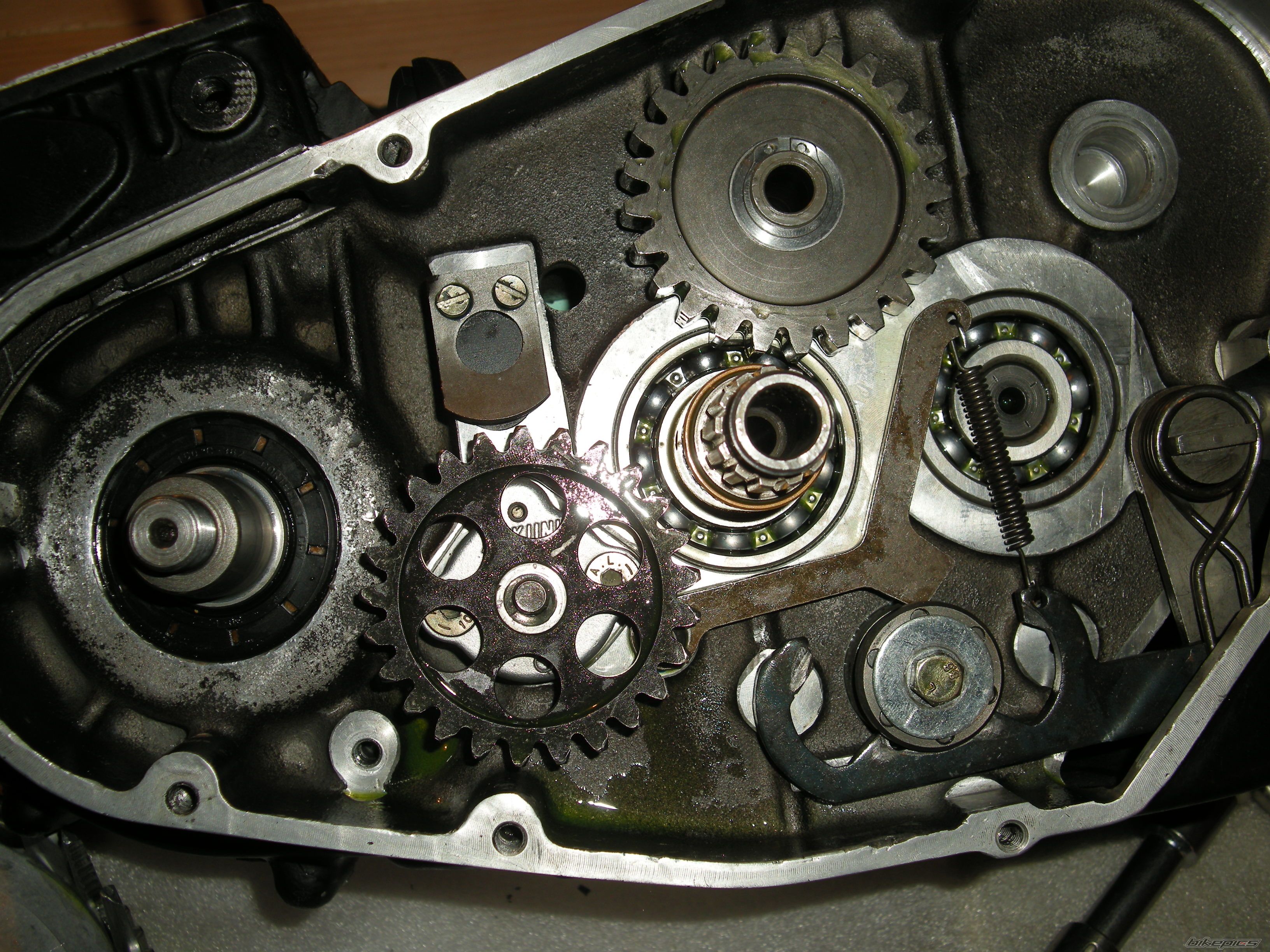 Photo 2646912
