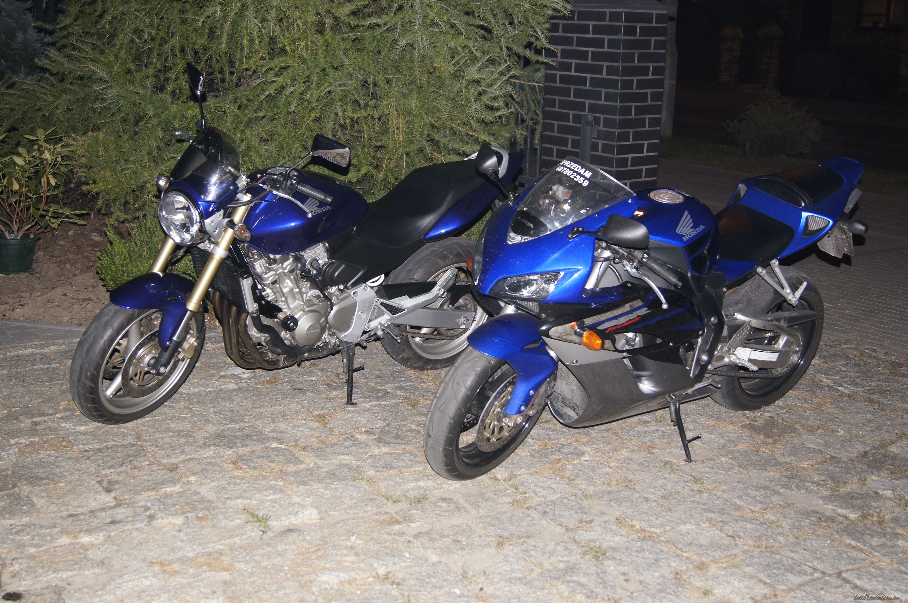 Photo 2646952