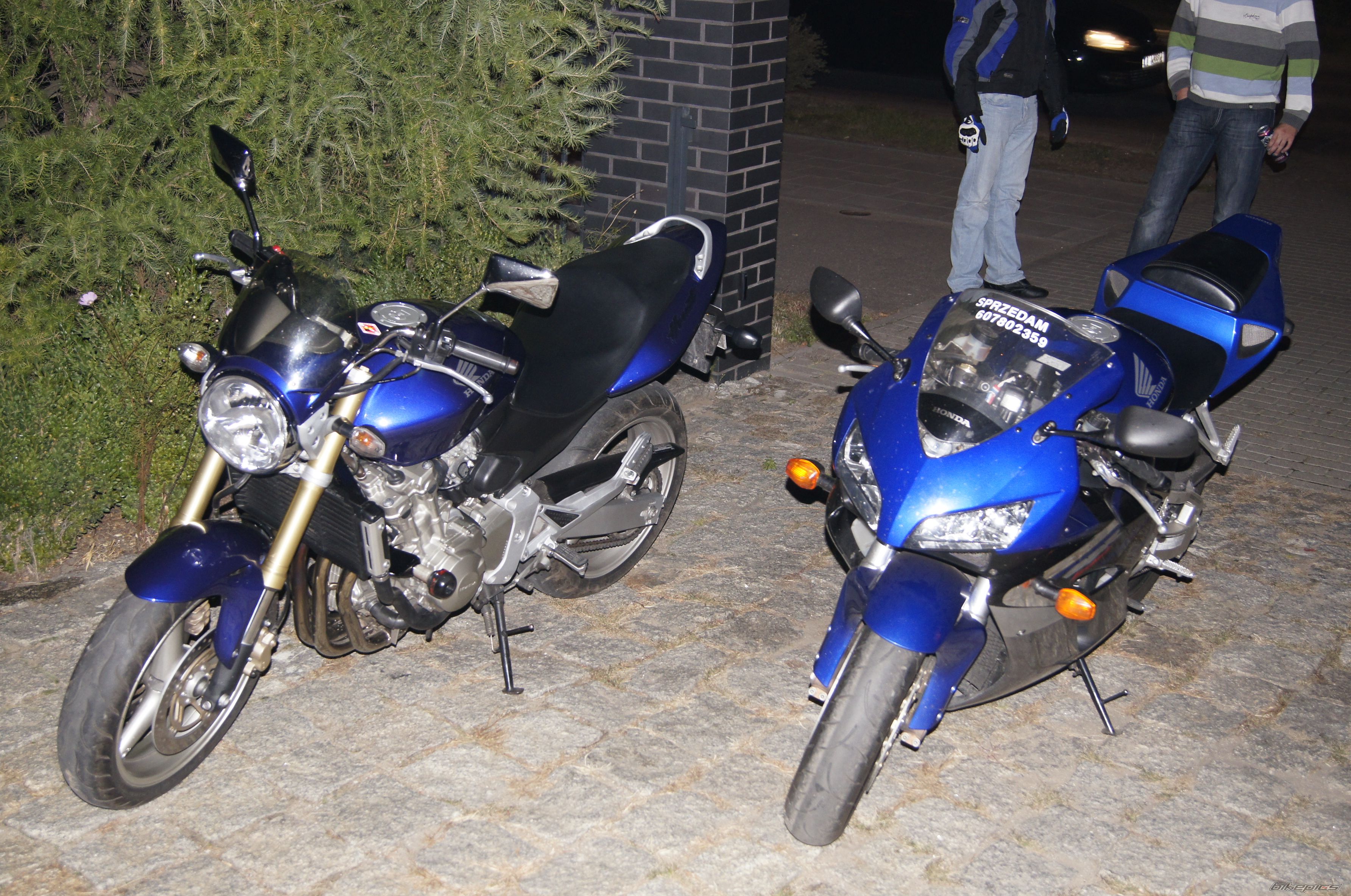 Photo 2646953