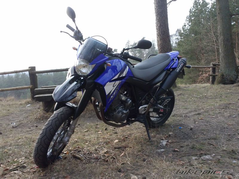 Photo 2646979
