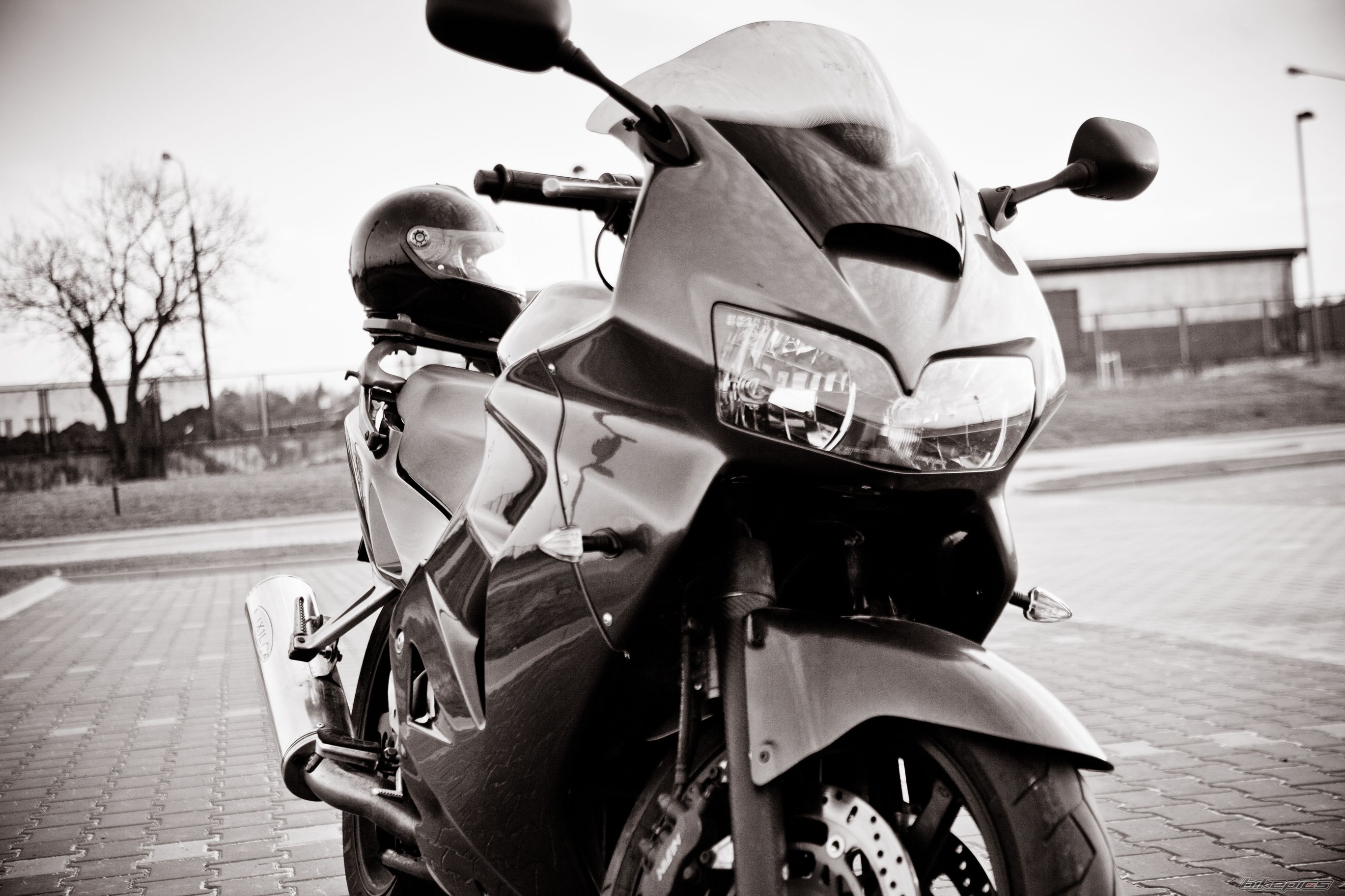 Photo 2646992