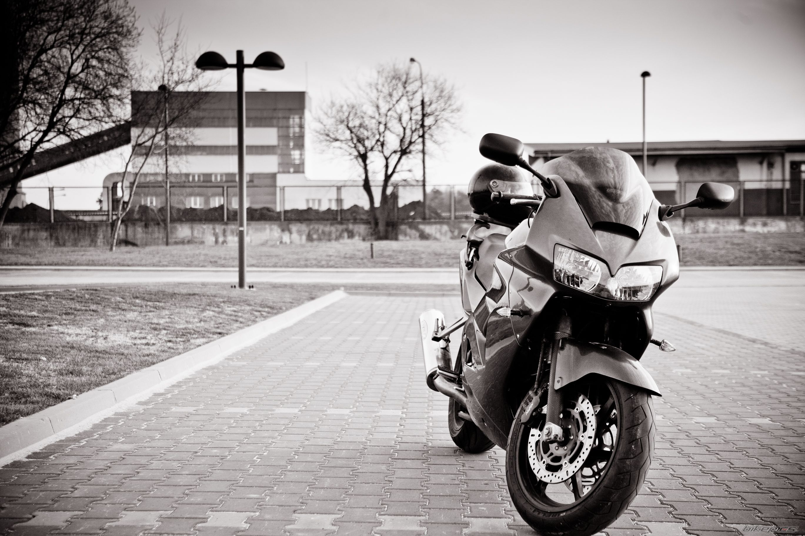 Photo 2646993
