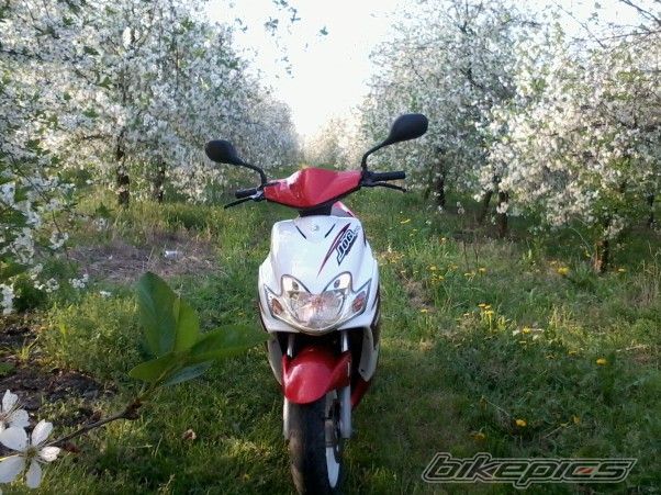 Photo 2647047