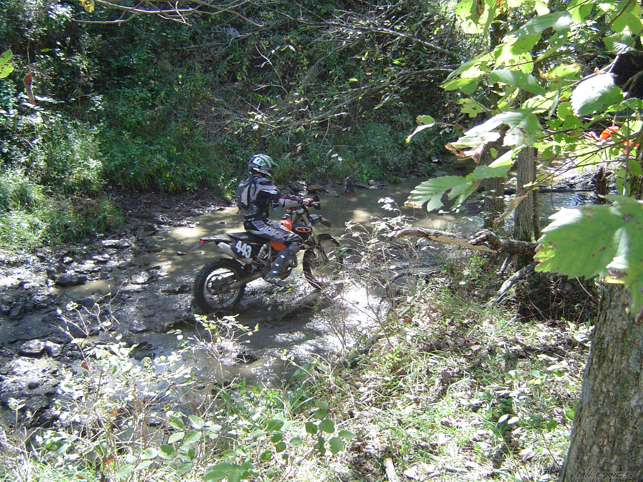 Bike Photo 264707