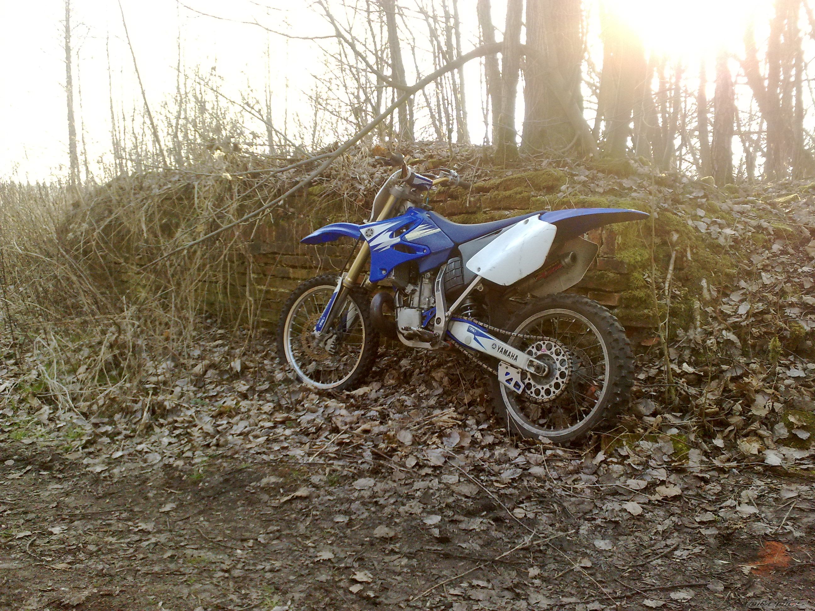 Photo 2647103