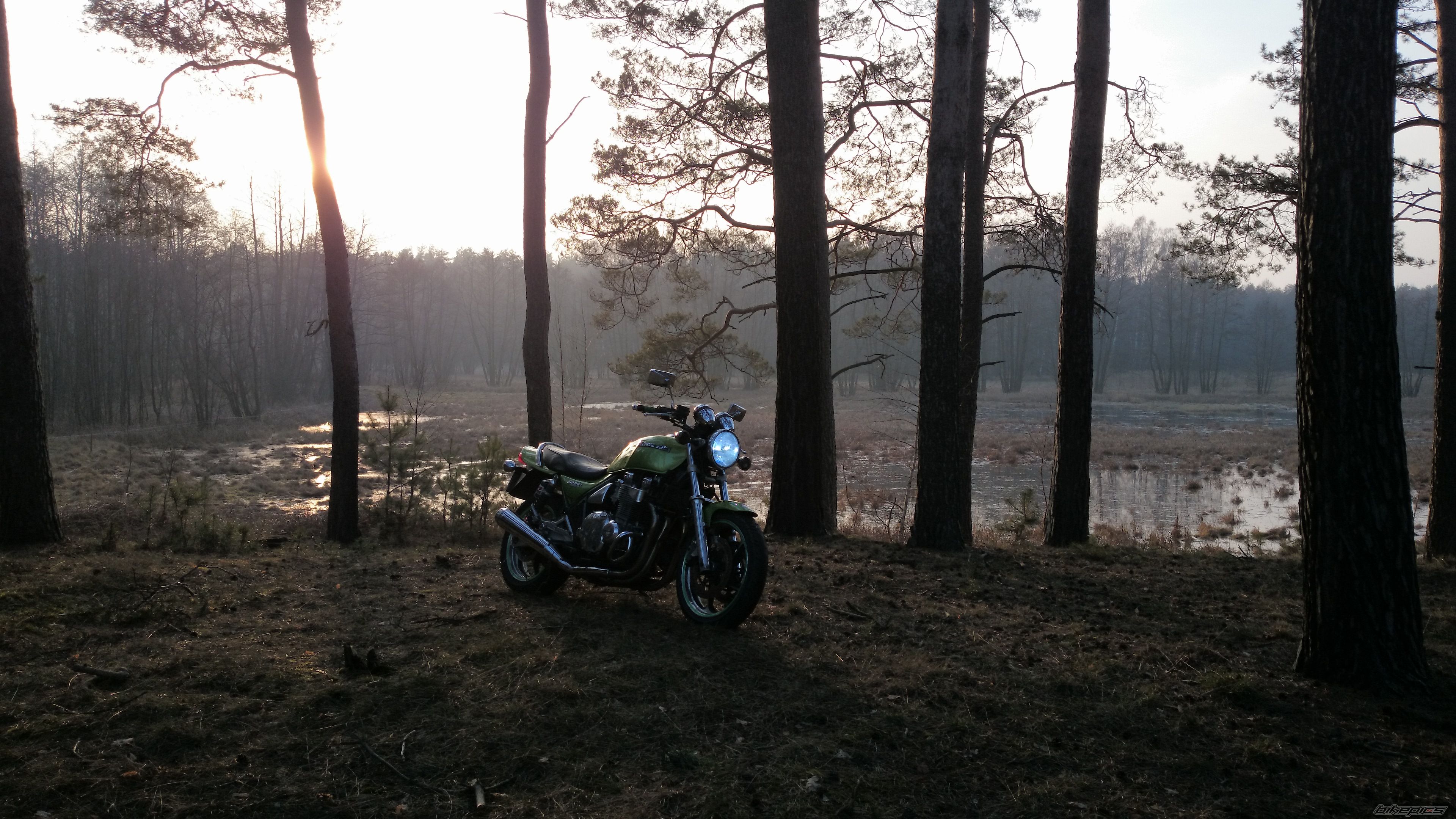 Photo 2647114