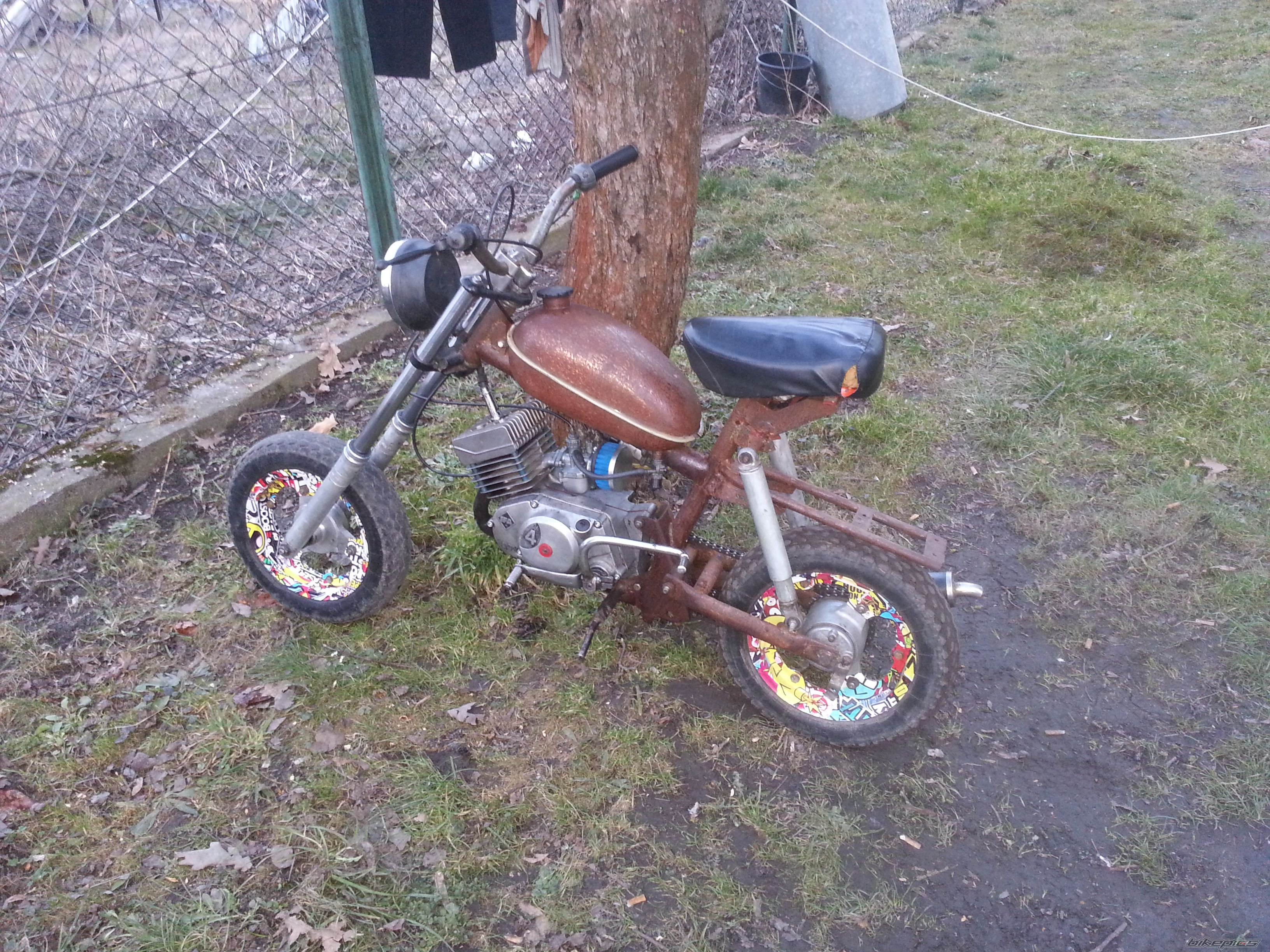 Photo 2647279