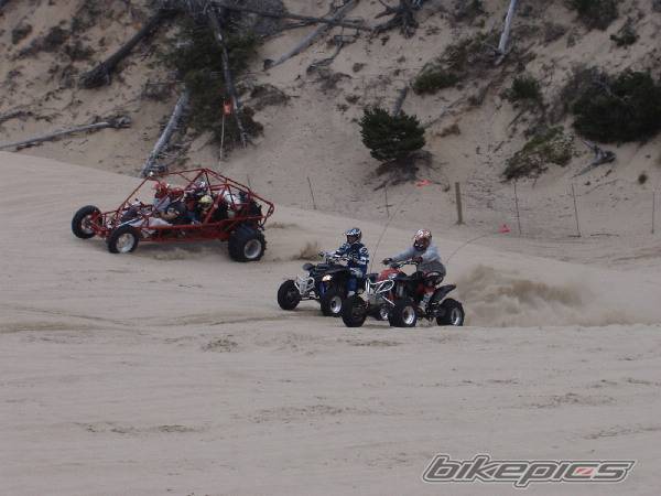 Photo 264730