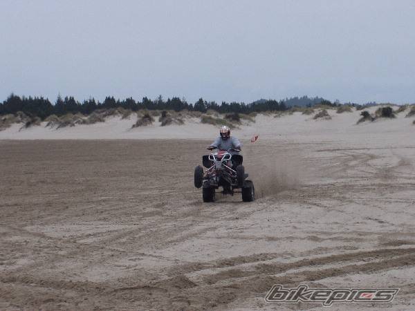 Photo 264731