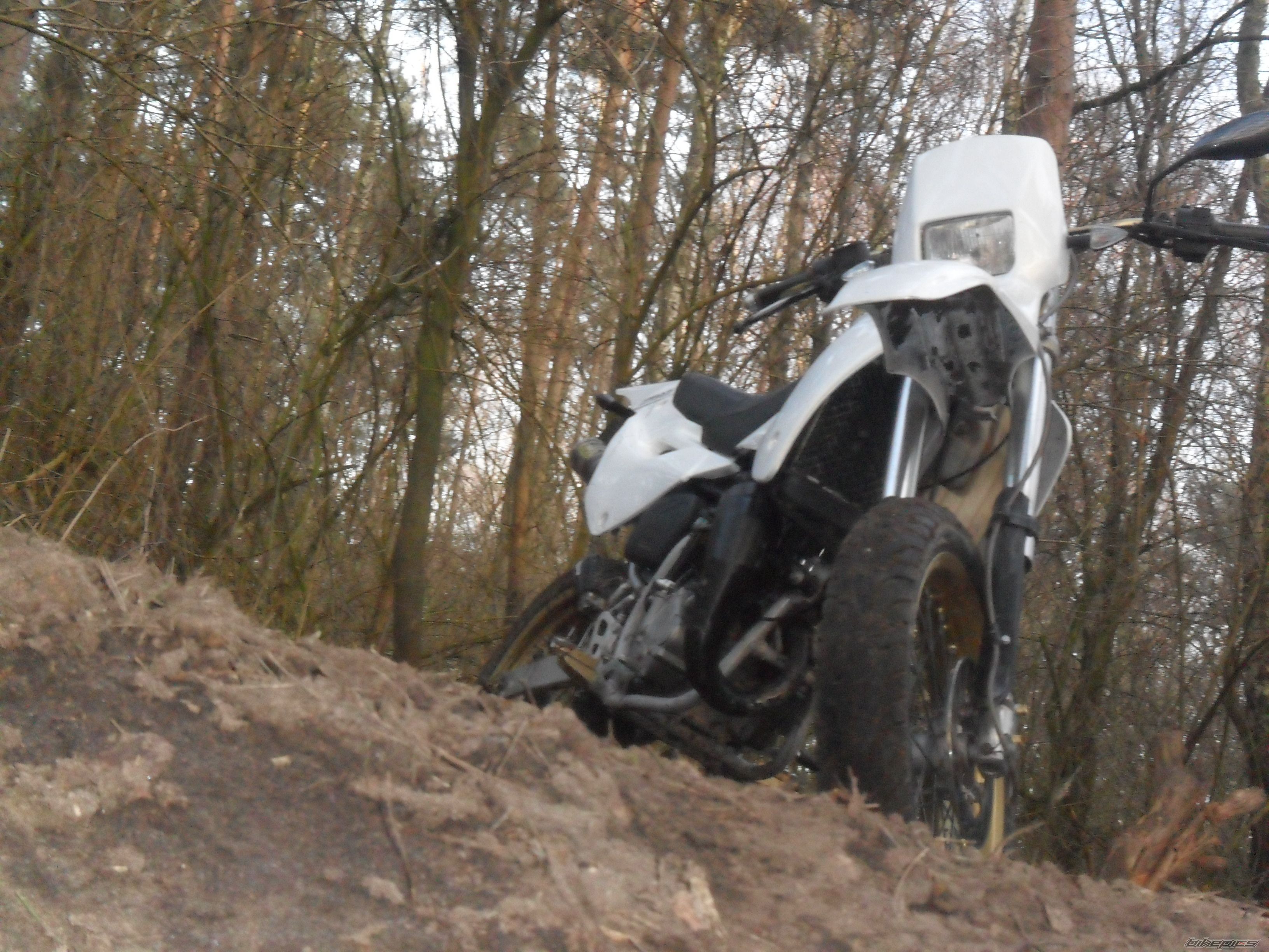Photo 2647315