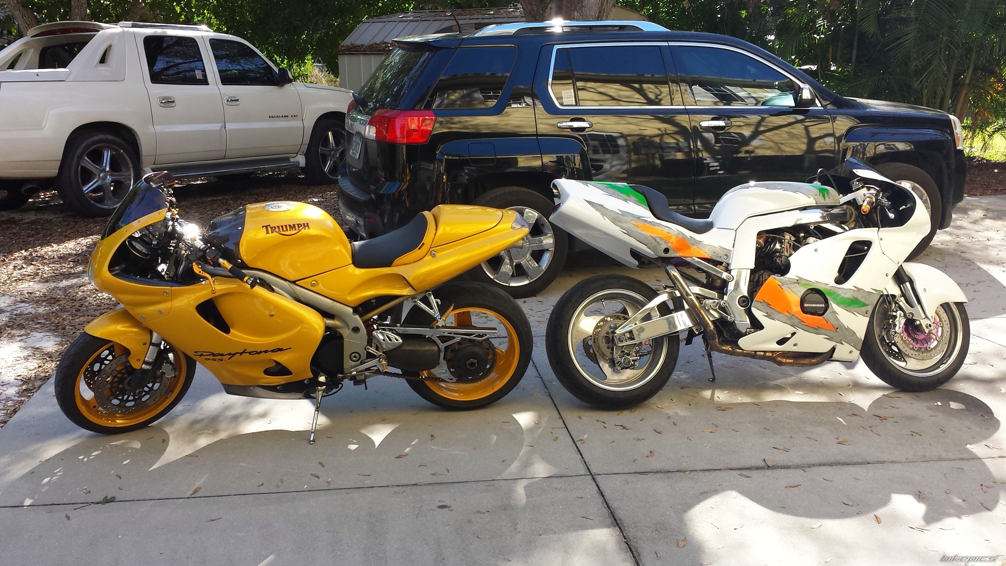 Photo 2647516