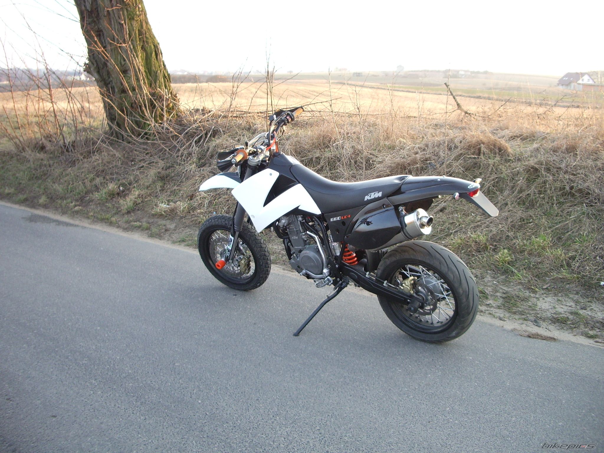 Photo 2647534