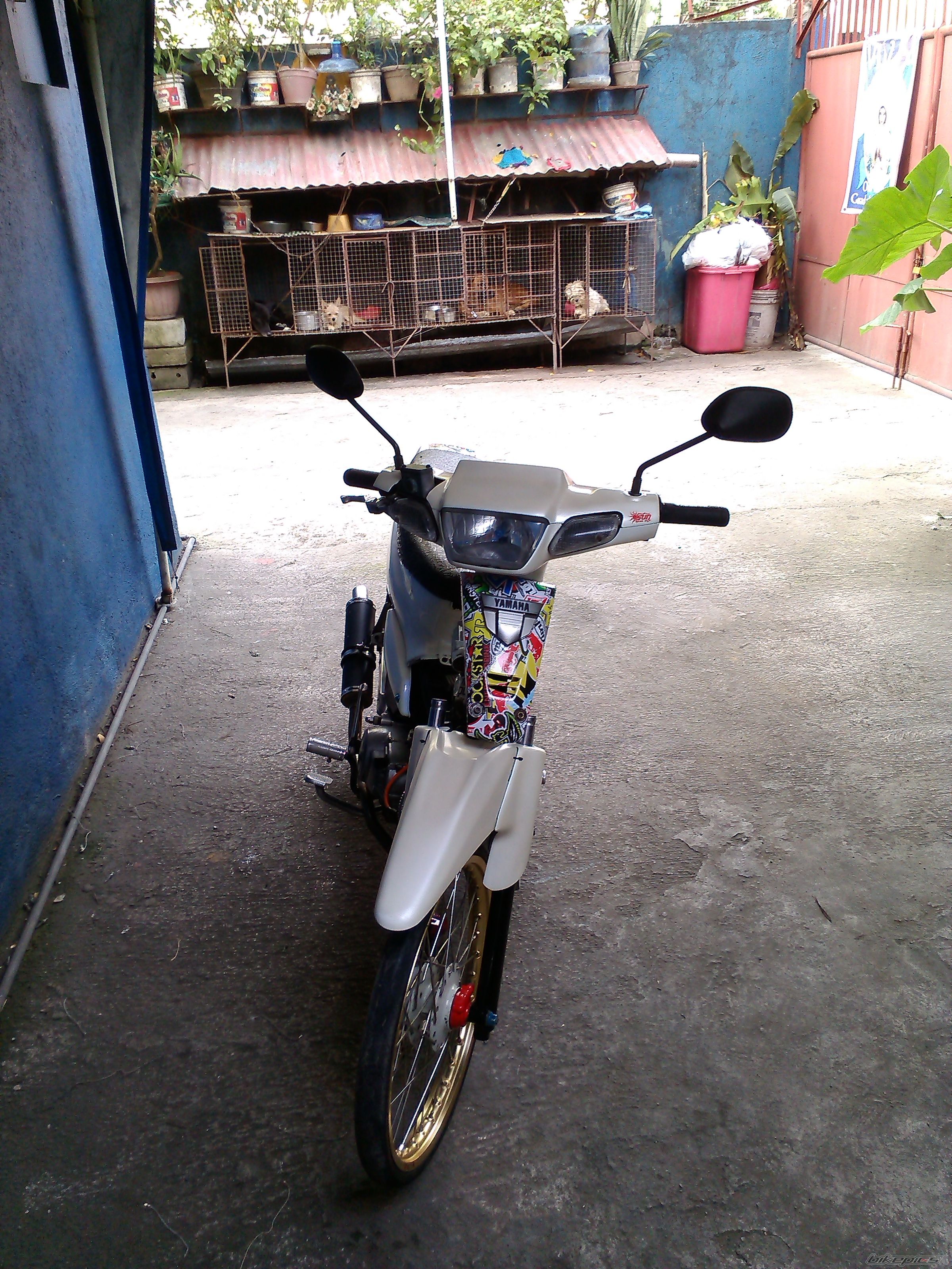 Photo 2647536
