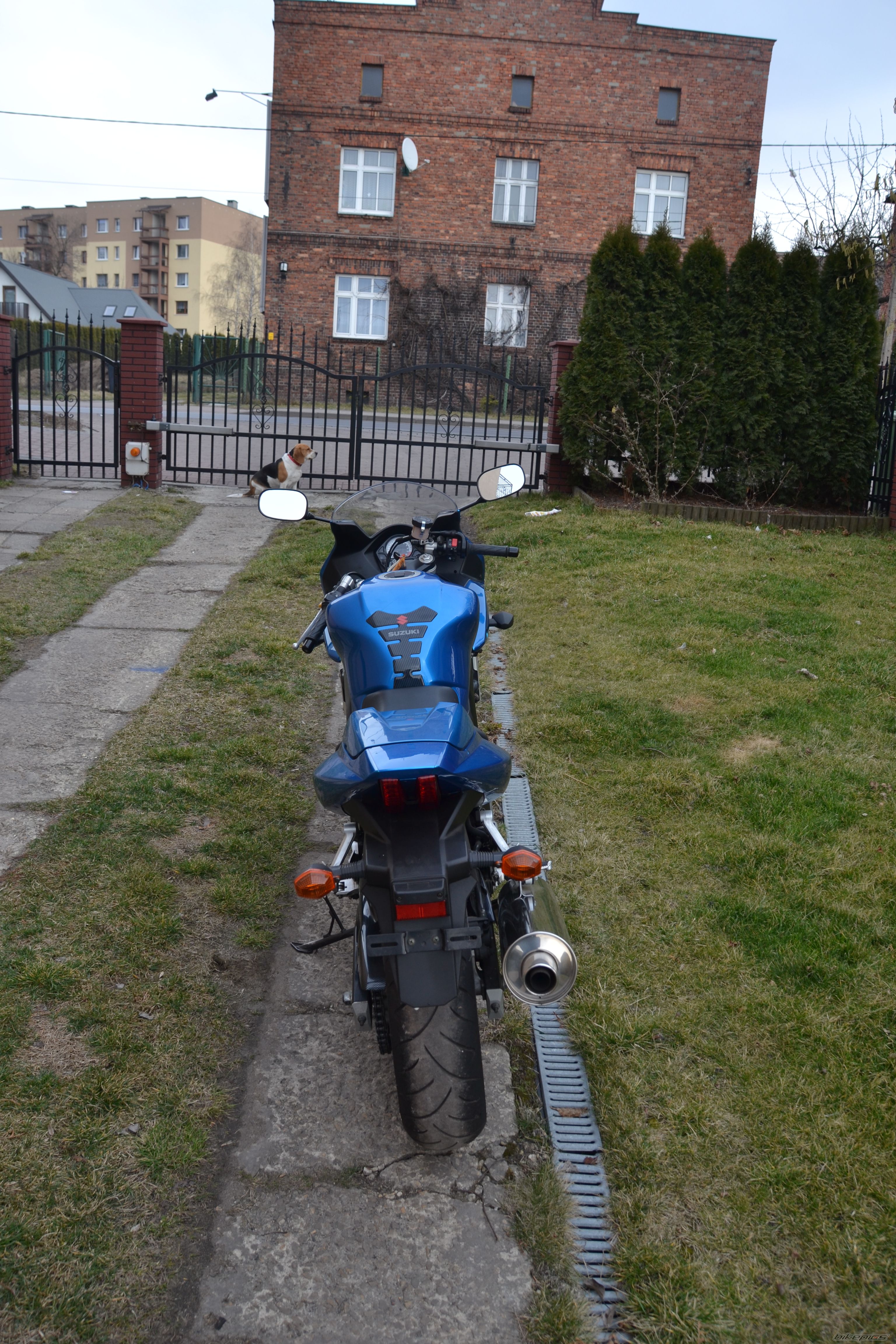 Photo 2647548