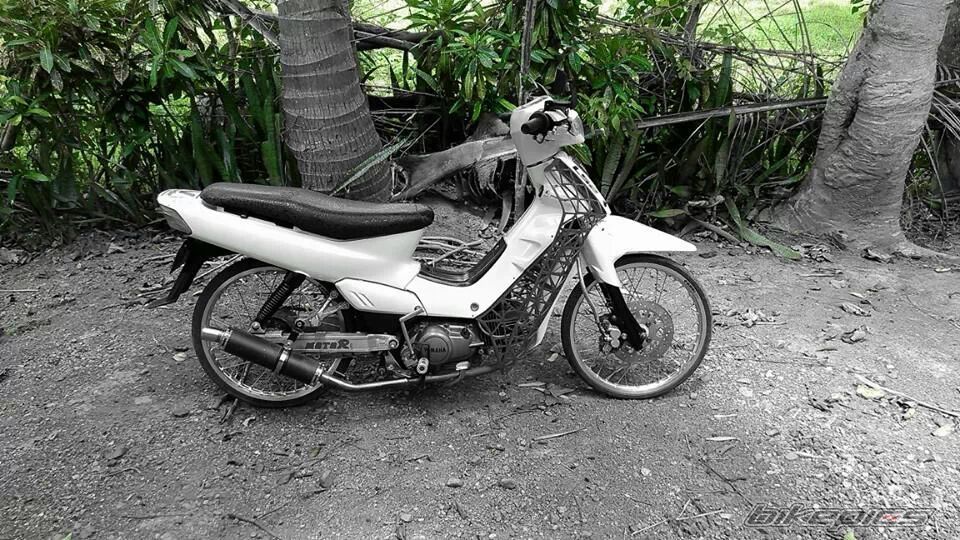 Photo 2647550