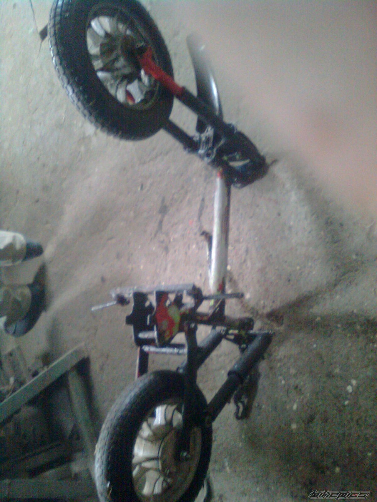 Photo 2647590