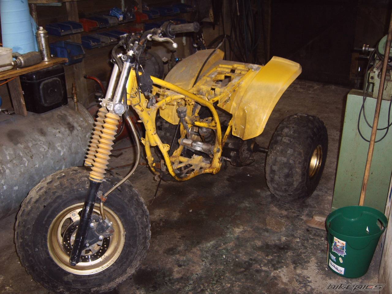 Photo 264765