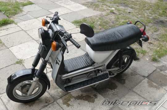 Photo 2647844