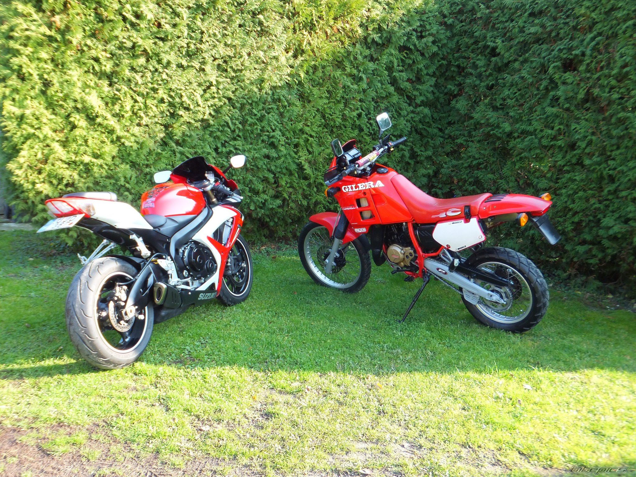 Photo 2647858