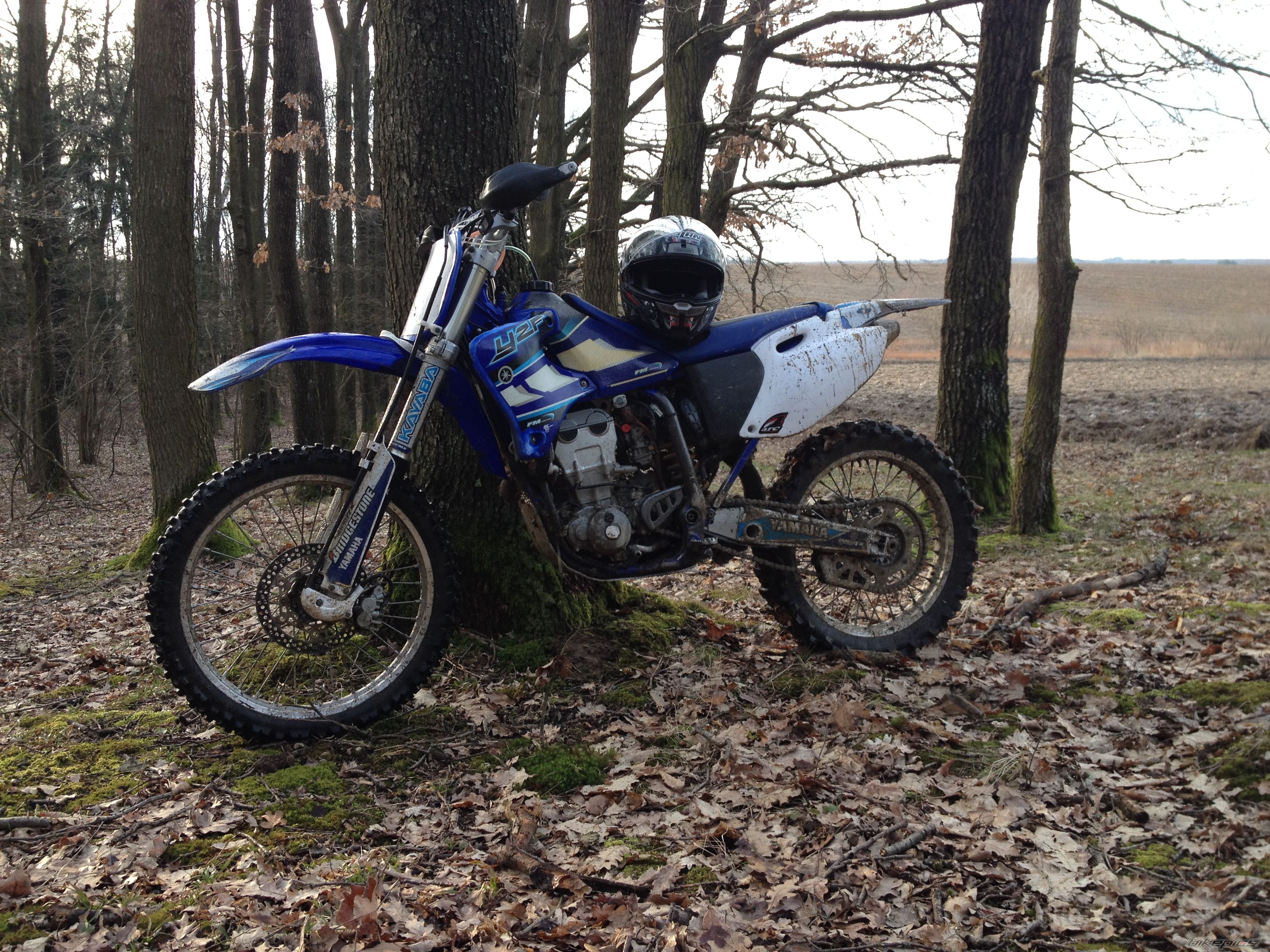 Photo 2647863