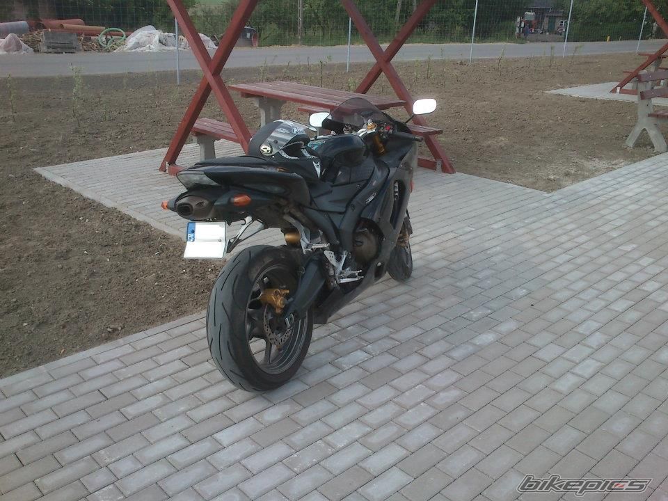 Photo 2647952