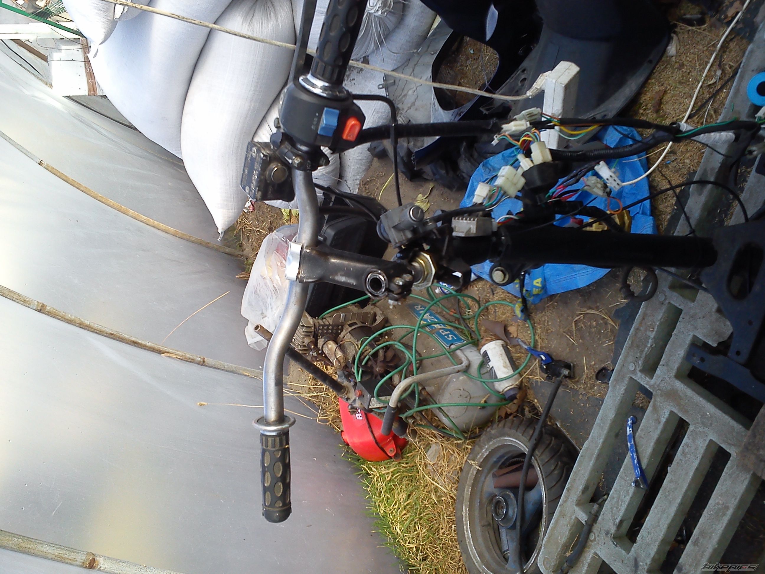 Photo 2648124